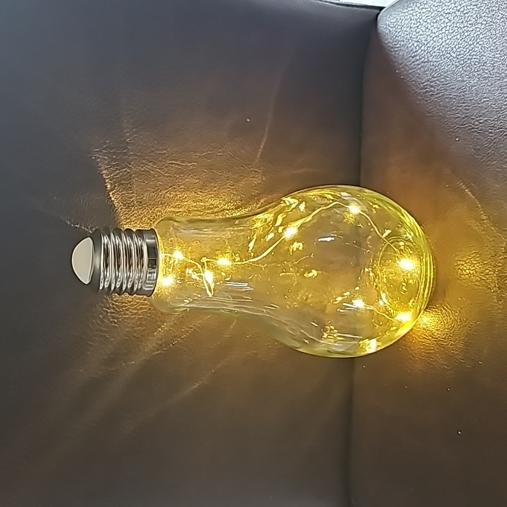 Light Bulb LED Lamp, LEDs on a Wire, Glass